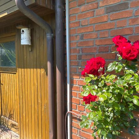 SchafflundUrlaub Zwischen Den Meerenアパートメント エクステリア 写真